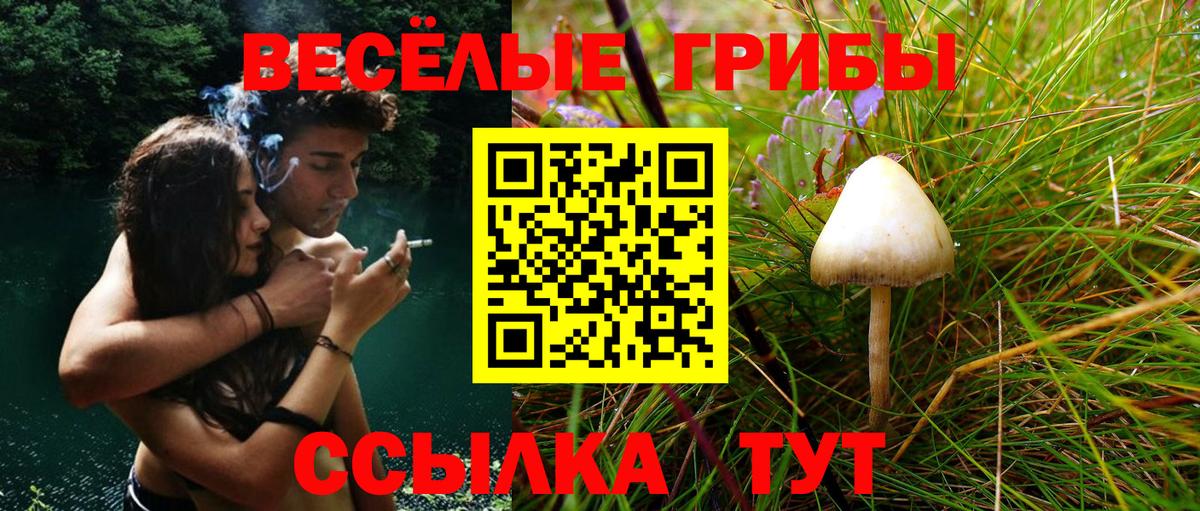 Муром  Галлюциногенные грибы ЛСД  Вход с VPN 